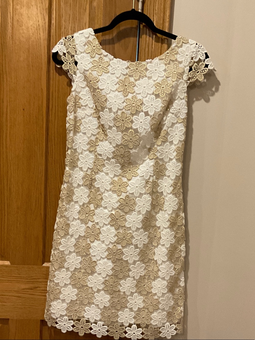 Lilly Pulitzer Barbara dress